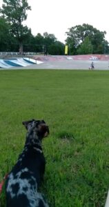 Latimer Lakes Skate Park © Tabitha Armstrong Bozant (GreyBae59) on Google Maps
