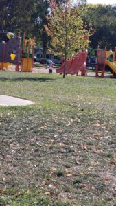 Le Mars Skatepark © Jessica Strickler on Google Maps