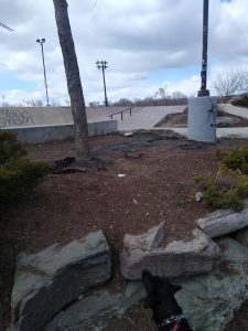 Mobash Skate Park © Don Iarussi MFA on Google Maps