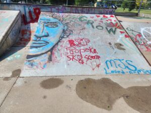 Mouse Trap Skate Park © Mike on Google Maps