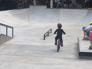 Perseverance Skatepark © David L on Google Maps