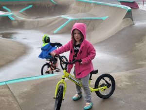 Pidgeon Park – Hernando Skatepark © Galen Woods on Google Maps
