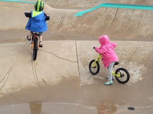 Pidgeon Park – Hernando Skatepark © Galen Woods on Google Maps