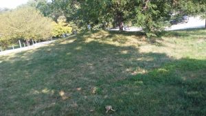 Roberts Park © Xilenc on Google Maps