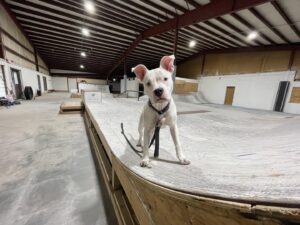 Studio Skate Supply © Studio Skate Supply on Google Maps