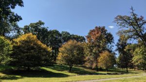 Sylvan Springs © SteveD on Google Maps
