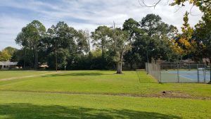 Thomas Park © Brett Schneider on Google Maps
