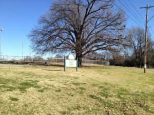 Tobey Park © acchronicles on Google Maps