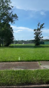 Wise Skatepark © brandy carter on Google Maps