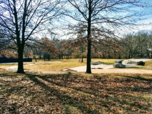Walnut St Skateboard Park © T R on Google Maps
