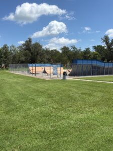 Walton Skate Park © Elise Miesner on Google Maps