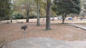 Wiggins Skatepark © Cari Smith on Google Maps