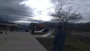 Erwin Skate Park © ScotteLo ScottAllenElliott on Google Maps