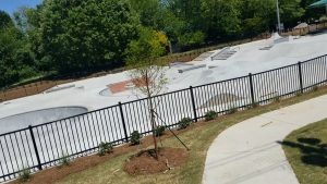 Gainesville Skatepark © Christay Davies on Google Maps