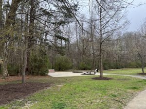 Marla Dorrel Skateboard Park
