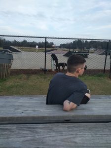 Sumter Skatepark © Its rebelx on Google Maps