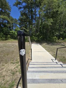 Surf City Skate Park © Coty on Google Maps