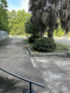 Wildcat Skate Park © Stephen Cronce on Google Maps