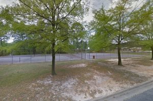 Williamston Skate Park